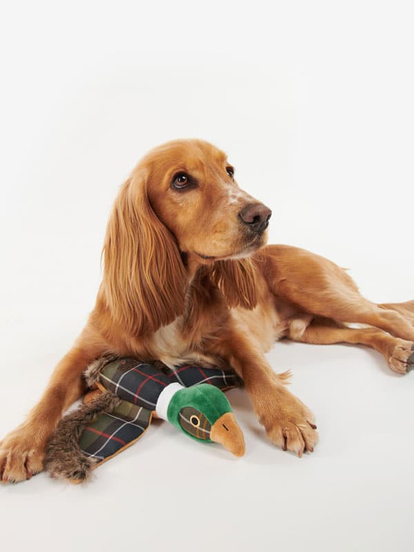 Barbour Dog Pheasant Toy - Afbeelding 2