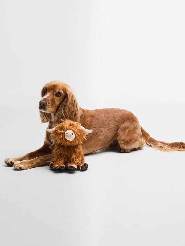 Barbour Dog Highland Cow Toy